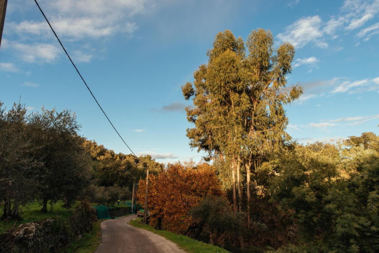 Azeite De Marvao, Olivoturismo Casa Venda Do Lagar Villa Dış mekan fotoğraf