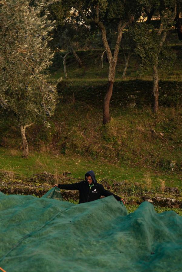 Azeite De Marvao, Olivoturismo Casa Venda Do Lagar Villa Dış mekan fotoğraf